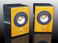 完成品 高音質　フルレンジスピーカーKIT　HC-TX320《ペア》