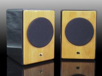 完成品 高音質　フルレンジスピーカーKIT　HC-TX320《ペア》