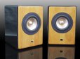 画像2: 10％OFF 完成品 高音質　フルレンジスピーカーKIT　HC-TX320《ペア》 (2)