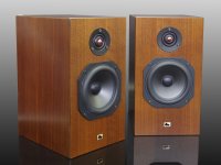 プロトタイプ 30%OFF 本格密閉型2Way Speaker  HC-TX420　≪ペア≫