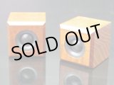 画像: ラスト1組10%OFF ツイーターキット　HC-SK030 スーパーツイーター・KIT≪ペア分≫