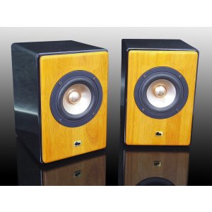 画像: 完成品 高音質　フルレンジスピーカーKIT　HC-TX320《ペア》