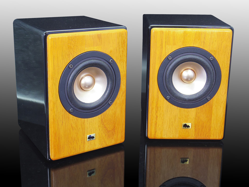 画像1: 完成品 高音質　フルレンジスピーカーKIT　HC-TX320《ペア》